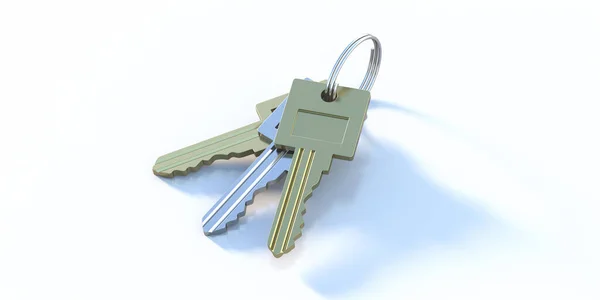 Anahtarlar Beyaz Arkaplanda Izole Edilmiş Bir Anahtarlıkta Altın Gümüş Anahtarlar — Stok fotoğraf