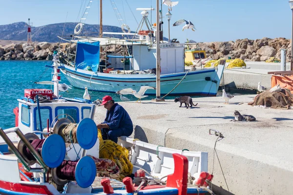 Greece Koufonisi Island Cyclades May 2021 Afetr Fishing Scene Harbour — Stock Photo, Image