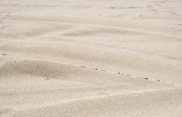Sand Texture Background Sandy Beach Rippled Natural Stone Wavy Closeup — Stock Photo, Image