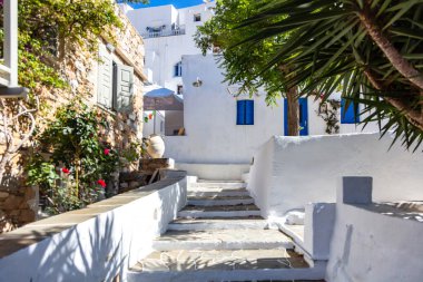 Yaz tatili için Sifnos Adası, Kiklad, Yunanistan. Eski duvarları beyazlatılmış geleneksel evler mavi kapılar, arka planda pencereler güneşli bir gün. Yıllanmış boş taş merdiven bitkileri.