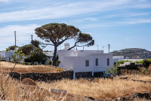 Grasland Trockenrasen Sommer Sonniger Tag Auf Der Insel Sifnos Kykladen — Stockfoto