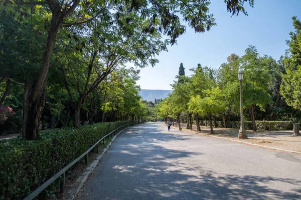 緑の公園の背景 リアビューで犬と一緒に歩く女性 アテネギリシャ市内中心部 晴れた春の日 — ストック写真