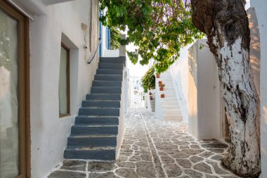 Paros Adası, Yunanistan. Beyazlatılmış binalar, dar kaldırım taşı sokakları ve merdivenler. Naousa köyünün geleneksel mimarisi beyaz ve mavi renklerde. Yaz tatilleri, Cyclades