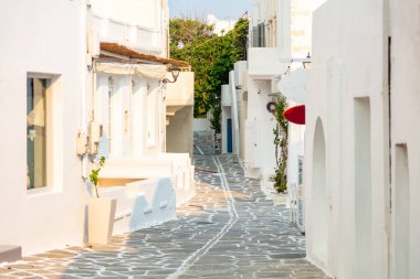 Paros Adası, Yunanistan. Beyazlatılmış binalar, dar kaldırımlı caddeler. Naousa kasabası geleneksel mimarisi, taze boyanmış beyaz binalar ve bitkiler. Yaz tatilleri, Cyclades