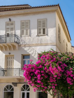 Neoklasik bina cephesi. Nafplion şehri, Yunanistan, eski kasaba. Bougainvillea çiçekleri, kırmızı morumsu çiçekler, yaz tatilleri.