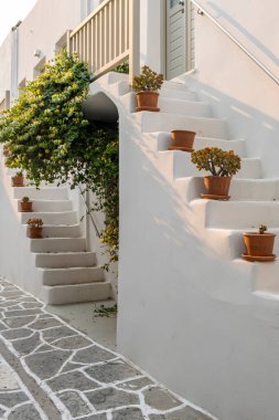Paros Adası, Yunanistan. Beyazlatılmış binalar, dar kaldırım taşı sokakları ve merdivenler. Naousa kasabası geleneksel mimarisi, beyaz temiz binalar ve bitkiler. Yaz tatilleri, Cyclades