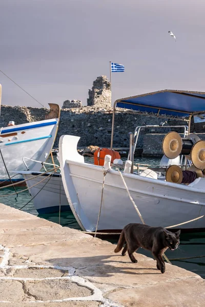 Cat Harbor Dock Looking Food Typical Wooden Fishing Boats Moored — Stock Photo, Image