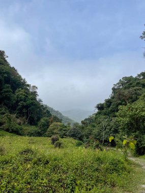 Yoğun yeşil bitki örtüsü ve nemli bir orman bölgesinde, yumuşak mavi gökyüzünün altında sisli dağ yamaçlarıyla dolu yemyeşil bir tropik vadi..