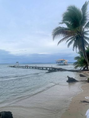 Bocas del Toro, Panama 'daki tropik plaj, palmiye ağaçları, stilt ev ve durgun mavi suya uzanan ahşap iskele, bulutlu gökyüzü..