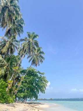 Turkuaz suyu olan güneşli tropik plaj, açık denizde küçük tekneler ve Panama, Bocas del Toro 'daki kum boyunca yemyeşil palmiye ağaçları.
