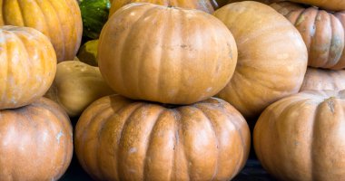 Yumuşak gün ışığı altında, pürüzsüz turuncu dokular ve doğal sonbahar tonlarını gösteren olgun balkabaklarının yakın görüntüsü.