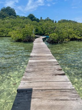 Bocas del Toro, Panama 'daki yemyeşil mangrovlara doğru sığ turkuaz su üzerinde uzanan tahta tahta kaldırım, mavi tropikal gökyüzü..
