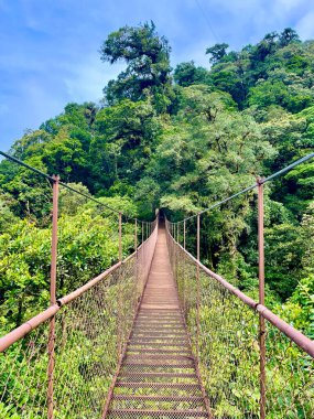 Panama 'daki yemyeşil bulut ormanı boyunca uzanan asma köprü, yoğun yeşil gölgelik ve sisli yeşil tepelerle çevrili boş metal geçit.