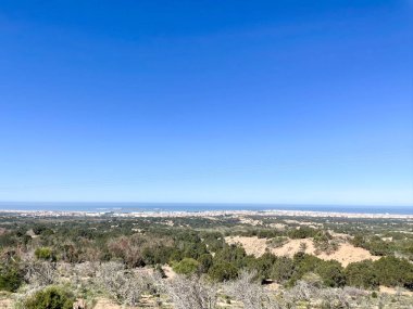 Essaouira orman tepeleri boyunca geniş kıyı manzarası, yeşil çalılıklar, kumlu tepeler ve berrak mavi gökyüzü altında uzak Atlantik okyanusu.