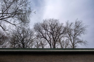 Geleneksel Çin fayanslı çatı üstü çıplak ağaçlar bulutlu bir gökyüzü inşa ediyor. Doğa ve mimari. 