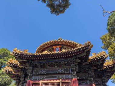 Konfüçyüs Tapınağı 'nın süslü köşkü uzun yeşil selvi ağaçları tarafından çerçevelenmiş, mavi gökyüzü, güneşli gün, alçak açı. Pekin, Çin