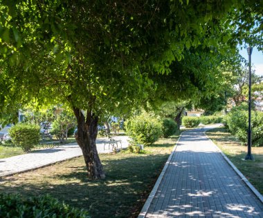 Gölgeli şehir parkı yolu yapraklı ağaçlar ve çalılarla kaplı, tuğla kaldırım, banklar ve sokak lambaları. Korfu Adası Yunanistan
