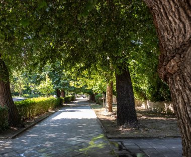 Gölgeli şehir parkı yolu yapraklı ağaçlar ve çalılarla kaplı, tuğla kaldırım, banklar ve sokak lambaları. Korfu Adası Yunanistan