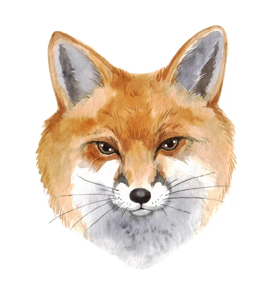 Akvarel Portrét Lišky Bílém Pozadí Roztomilé Lesní Zvíře Pro Váš — Stock fotografie