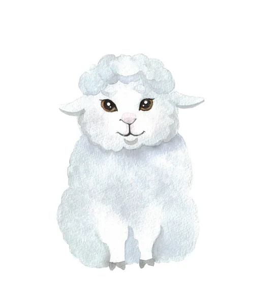 在白色背景上可爱的小羊羔 水彩画 农场动物素描 说明您的设计 — 图库照片