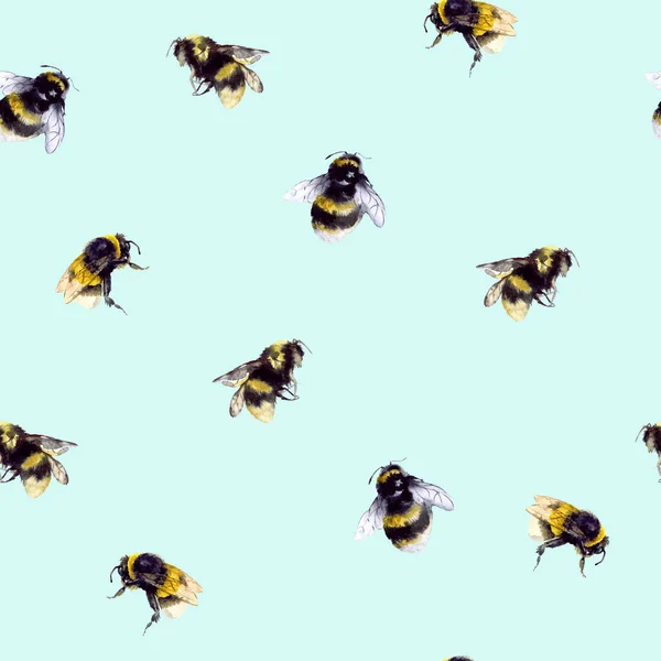 Bezešvé Náboje Čmeláky Včelami Bílém Pozadí Vzorec Hmyzu Medový Vzor — Stock fotografie