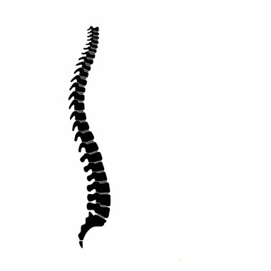 insan omurgasının siyah silueti