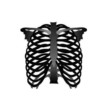 İnsan göğüs kemiğinin siyah silueti.