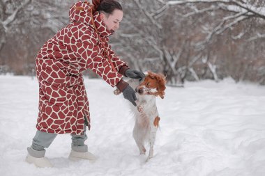 Uzun desenli palto giyen kadın, arka ayakları üzerinde duran Brittany Spaniel ile oynamak için eğildi. İnsanlar ve köpekler arasındaki park etkileşimi, her ikisi de eğlenceli bir an. Beyaz kar ve yumuşak kış ışığı ile kontrastın ılık tonları.