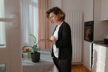 Kadın pencerenin yakınındaki saksı bitkisinin pürüzsüz yapraklarını silerken, güneş ışığı parlak yeşil dokuyu geliştirirken, sakin bir sabah rutini sırasında rahat ve modern mutfak ortamında nazikçe yeşil alanı koruyor..