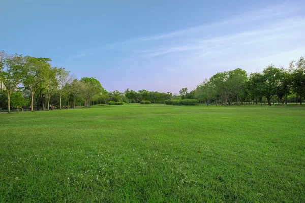 Зеленая трава в большом городском парке — стоковое фото