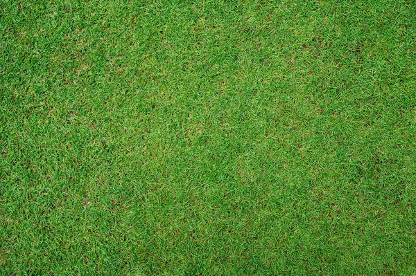 緑の芝生のテクスチャの背景明るい草の庭 サッカーピッチを訓練するための芝生の上のビュー 草のゴルフコース緑の芝生のパターンのテクスチャの背景 — ストック写真