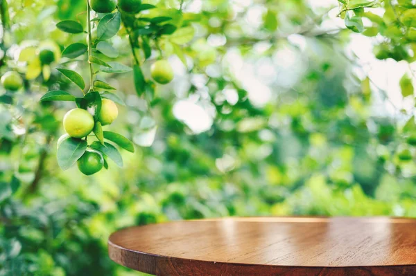 Κενό Ξύλινο Τραπέζι Ελεύθερο Χώρο Πάνω Από Πράσινα Λεμόνια Δέντρο — Φωτογραφία Αρχείου