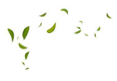 Yeşil Yüzen Yapraklar Uçuyor Yeşil Yaprak Dansı, Hava Arındırıcı Atmosfer Basit Ana Resim