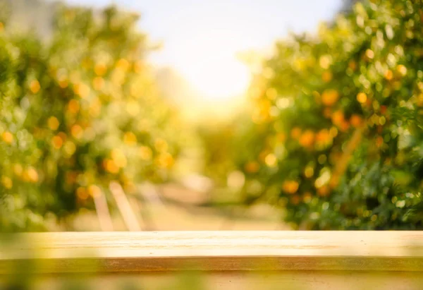 Table Bois Vide Avec Espace Libre Dessus Des Orangers Fond — Photo