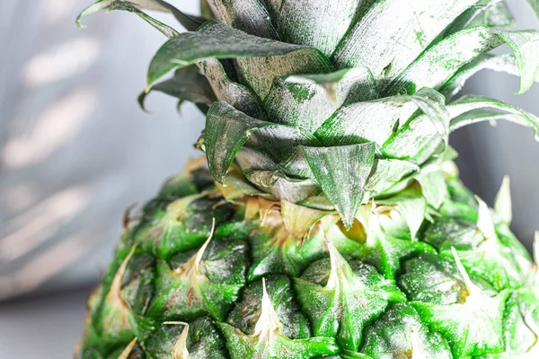 Closeup View Pineapple Peel — Stock Photo, Image
