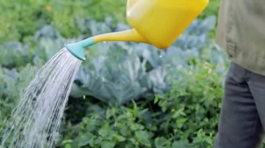 Bahçe yataklarını sulayan bir adamın görüntüleri.