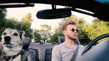 Köpekli bir adam yazın üstü açık bir arabayla seyahat eder. Dostluk ve evcil hayvanla seyahat kavramı..