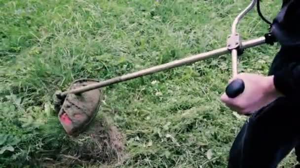 Aufnahmen Eines Mannes Der Mit Einem Handrasenmäher Das Gras Mäht — Stockvideo