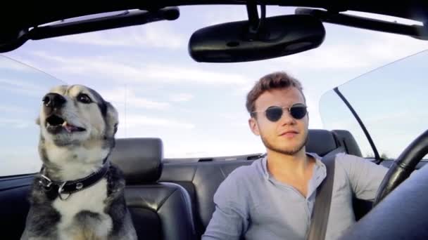 Mann Mit Hund Ist Sommer Cabrio Unterwegs Das Konzept Der — Stockvideo