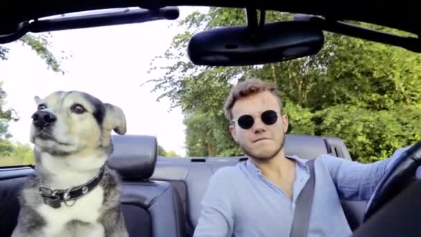 Man Dog Travels Convertible Summer Concept Friendship Travel Pet — Stock Video