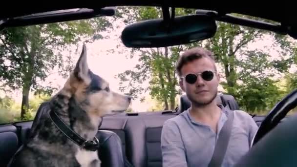 犬を連れた男は夏にコンバーチブルで旅をします ペットとの友情と旅の概念 — ストック動画