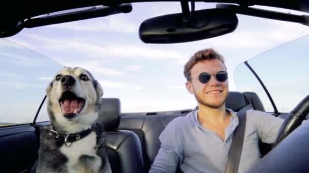 Hombre Con Perro Viaja Convertible Verano Concepto Amistad Viajar Con — Vídeos de Stock