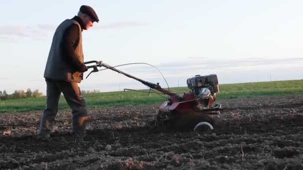 後ろを歩くトラクターを持つ男性農家の映像は夕方に耕起で土地を耕します — ストック動画