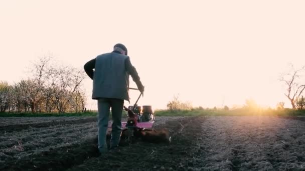 Záběry Farmáře Samce Kráčejícím Traktorem Obdělávají Večerních Hodinách Půdu Ornou — Stock video