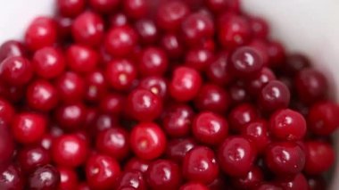 Olgun kırmızı üzümlerin birçok görüntüsü 