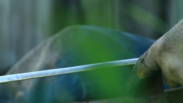 Séquence Homme Réparant Faux Pour Tondre Herbe — Video