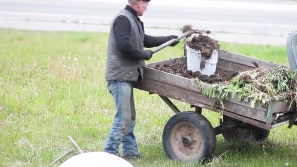 Αρσενικός Αγρότης Που Εργάζεται Ένα Φτυάρι Ένα Χωράφι Οργώνοντας — Αρχείο Βίντεο