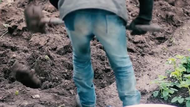 Male Farmer Working Shovel Field Plowing Land — Stock Video