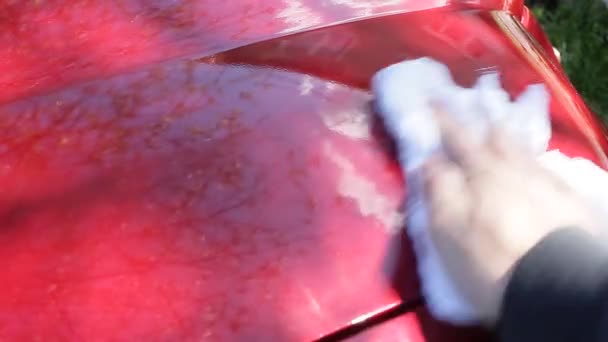 Beeldmateriaal Van Hand Vegen Van Oppervlakken Van Rode Auto Wassen — Stockvideo