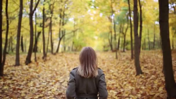 Riprese Autunnali Una Ragazza Parco Autunnale Con Cappotto Grigio Posa — Video Stock